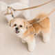 25'BONNEL HARNESS（XS)