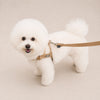 25'BONNEL HARNESS（XS)