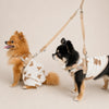 25'BONNEL HARNESS（XS)
