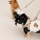 25'BONNEL HARNESS（XS)