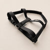 25'BONNEL HARNESS（L)
