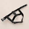 25'BONNEL HARNESS（L)