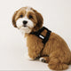 25'BONNEL HARNESS（XS)
