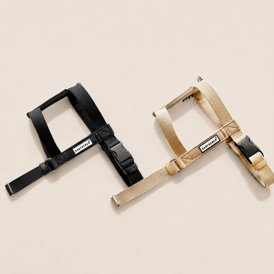 25'BONNEL HARNESS（L)