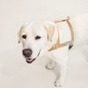 25'BONNEL HARNESS（L)