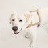 25'BONNEL HARNESS（L)