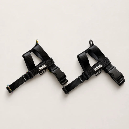 NUKENAI HARNESS 20mm/ XSサイズ /ブラック