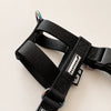 NUKENAI HARNESS 20mm/ XSサイズ /ブラック