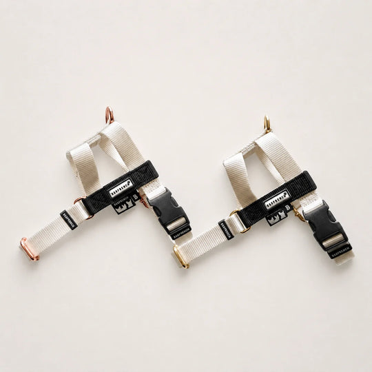 NUKENAI HARNESS 20mm/ XSサイズ / アイボリー