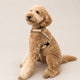 25'BONNEL HARNESS（L)