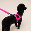 NUKENAI HARNESS 20mm/ XSサイズ / NEON