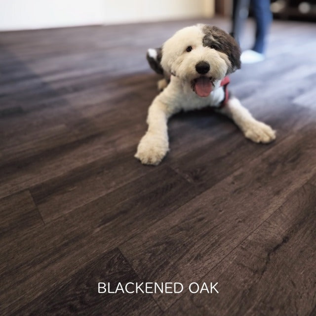 すべらない・洗えるカーペット