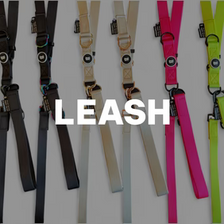 リード Leash
