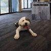Non-slip washable carpet
