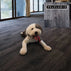 Non-slip washable carpet