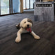 Non-slip washable carpet