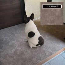 index-img