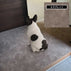 Non-slip washable carpet